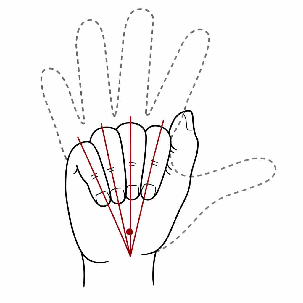 指を握ると手指の長軸は舟状骨より近位の橈骨動脈の走路に収束